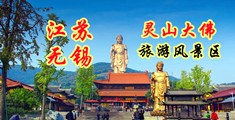 大鸡巴肏骚逼视频江苏无锡灵山大佛旅游风景区