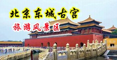 操日本美女大黑逼中国北京-东城古宫旅游风景区